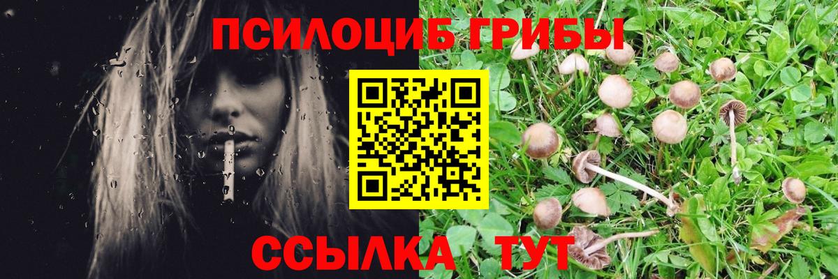 Галлюциногенные грибы мицелий Новоалтайск