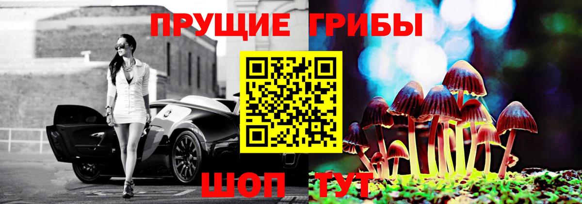 Галлюциногенные грибы MAGIC MUSHROOMS  Вход с VPN  Новоалтайск  купить закладку  Псилоцибиновые грибы MAGIC MUSHROOMS 